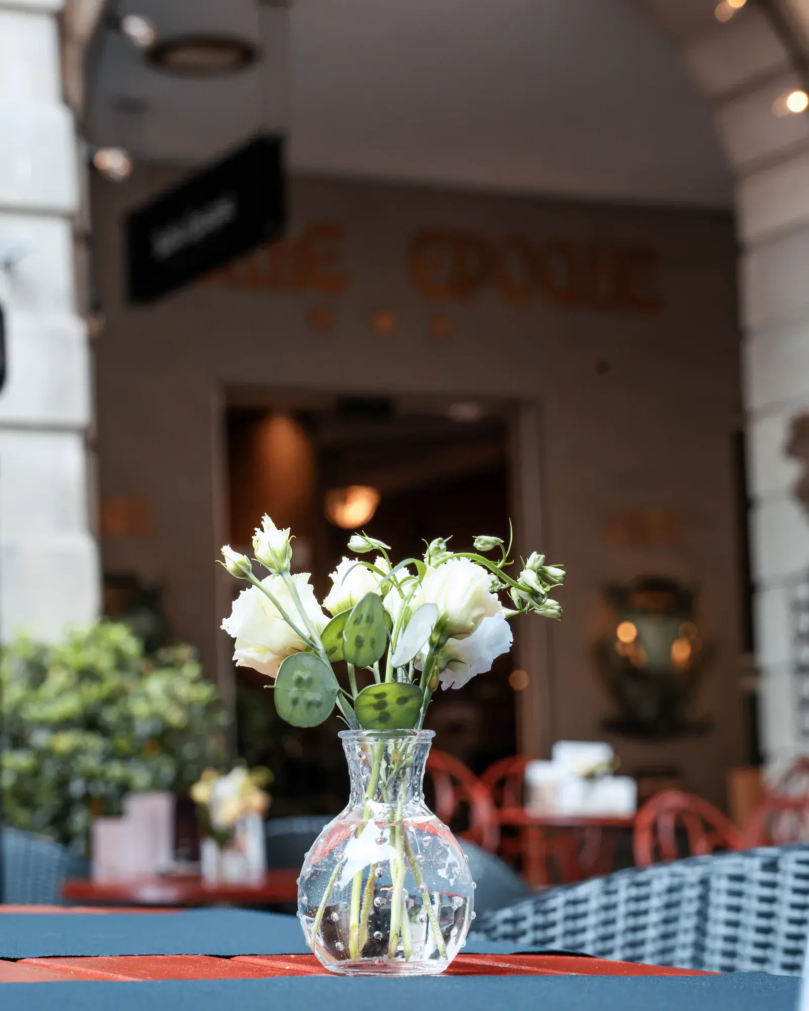 Terrasse mit Blumen am Eingang